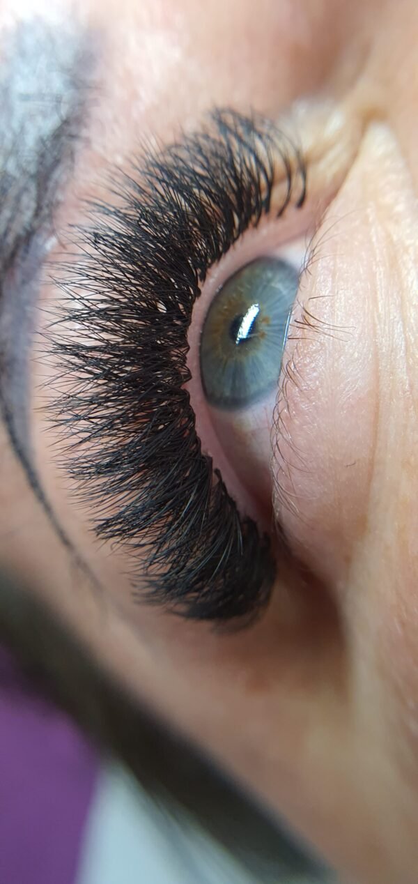 1 or 2 days russian volume lash extension training